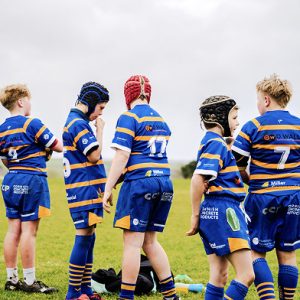 Cornwall tours — 2025 & 2026